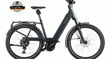 Riese und Müller - Nevo4 GT Touring (N°15)