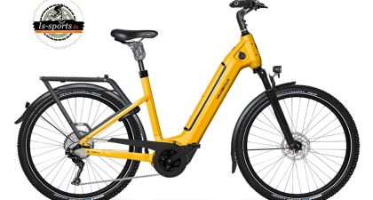 Velo de Ville - SEB 890 P PRO (43205)